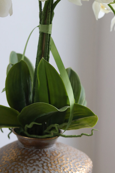 Eduardo Silica, biały storczyk w złotej donicy