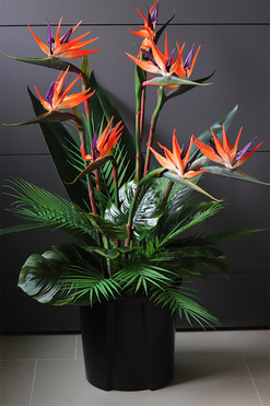 Strelicja Saute, sztuczna roślina do twojej donicy, wys.72/100cm 