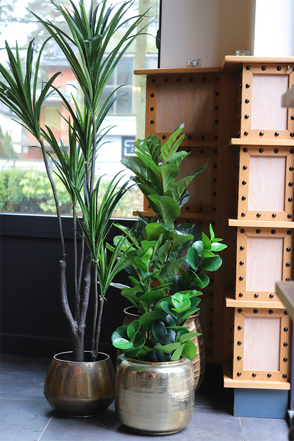 Dracena Simple Gold, sztuczna roślina w doniczce