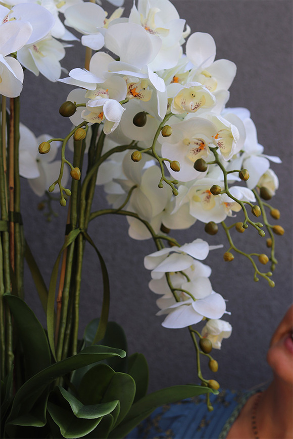 storczyk Explosion, Silver Ball