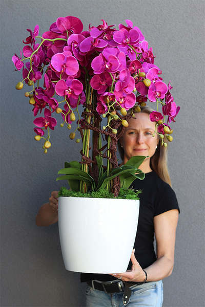 Mediolan Round Fuksja w białej donicy