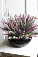 Wrzosy Piano, kompozycja w czarnej misie