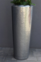 Cymbydium Silver Tower, duży storczyk w białej donicy