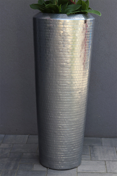 Cymbydium Silver Tower, duży storczyk w białej donicy