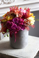 Octavia, welurowy flowerbox