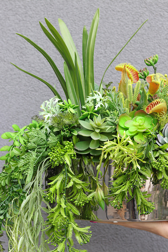 Greenede, kompozycja sukulenty w czarnej donicy, wys.40cm