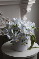 Orchidea White, biały flowerbox ze storczykiem