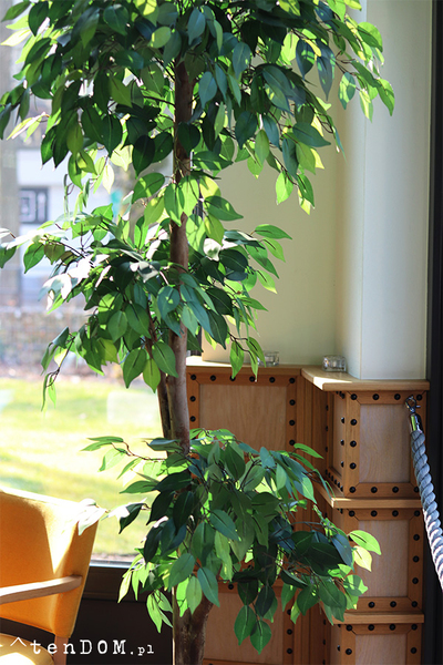 Fikus Benjamin H, sztuczna roślina w doniczce