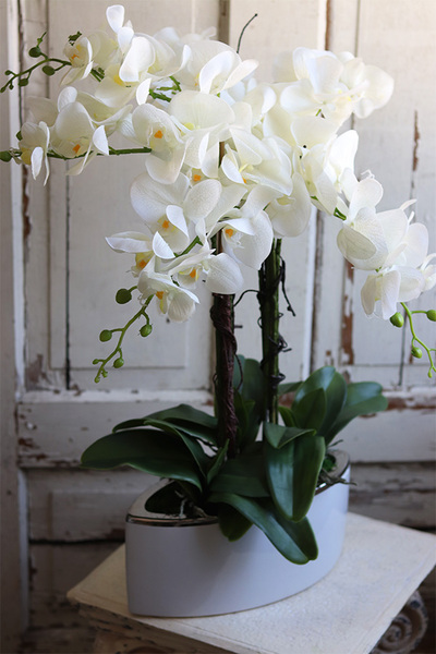 Manfredo White Silicone, gumowy storczyk w białej donicy, wys.71cm