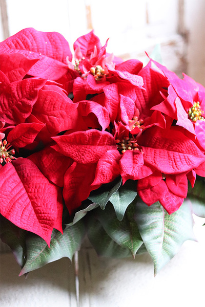 Gwiazda Betlejemska Longia, wysokiej jakości sztuczna roślina