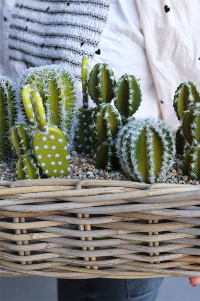 Cacti Rattan, kompozycja sukulenty w podłużnym koszu, wym.30x57cm