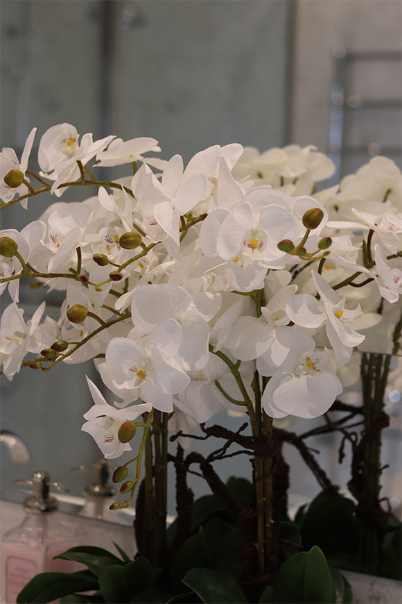 Infinity Eveline, storczyk w lustrzanej donicy