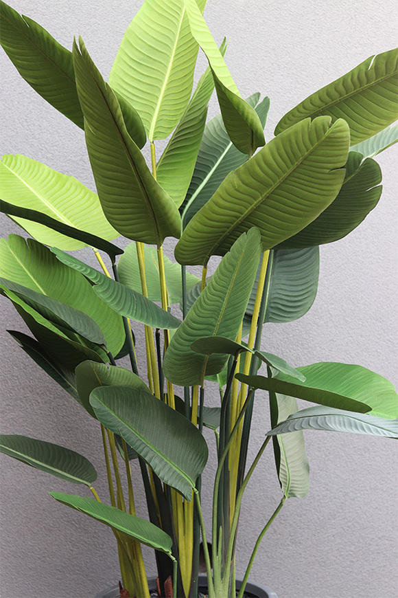 Bananowiec Concrete Greene, sztuczna roślina w donicy