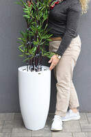 Bambus Fiberglass, sztuczna roślina w białej donicy