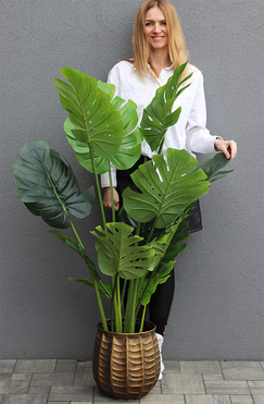 Monstera Bellis, sztuczne drzewo w doniczce, wys.150cm