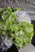 Zielona Magia, bogaty kosz z hortensjami, wys.45cm