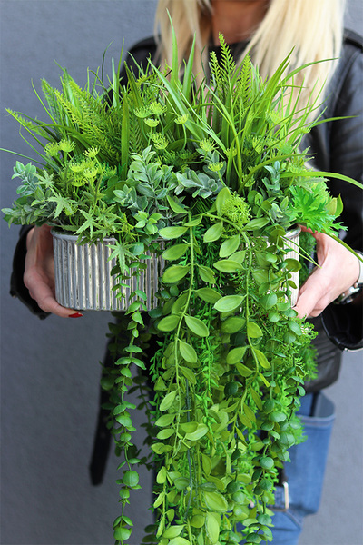 Hilton Green 2, kompozycja sukulenty w srebrnej donicy, wys.32cm