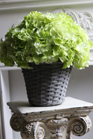 Pistacio, komplet dekoracji kwiatowych