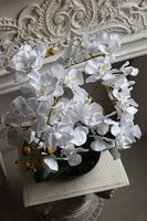 Japan Nuovo, sztuczny storczyk w czarnej misie