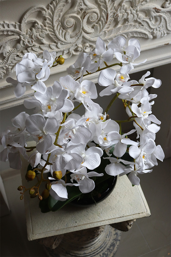 Japan Nuovo, sztuczny storczyk w czarnej misie