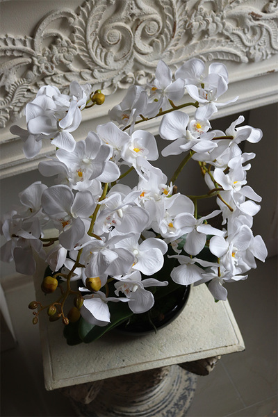 Japan Nuovo, sztuczny storczyk w czarnej misie