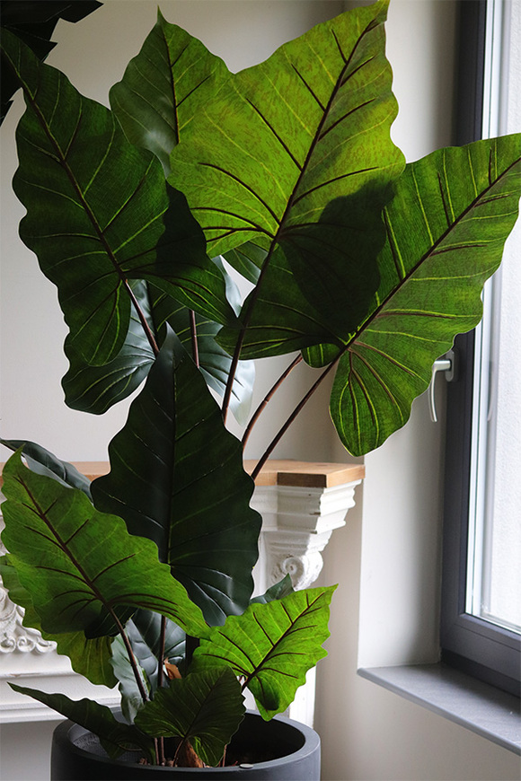 Alokazja Concrete, sztuczna palma w betonowej donicy