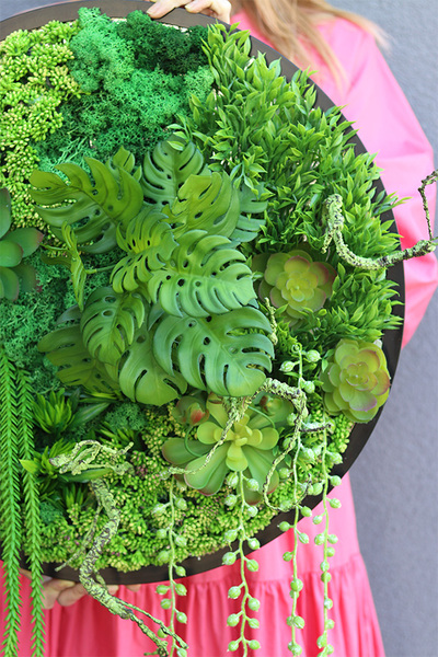 Green Stone Sukulenty, czarna jednostronna rama