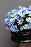 Letnie Kwiaty, kompozycja nagrobna w misie	