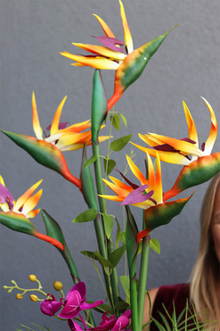 Grestina Figaro 2, kompozycja ze strelicją w złotej donicy, wys.91cm