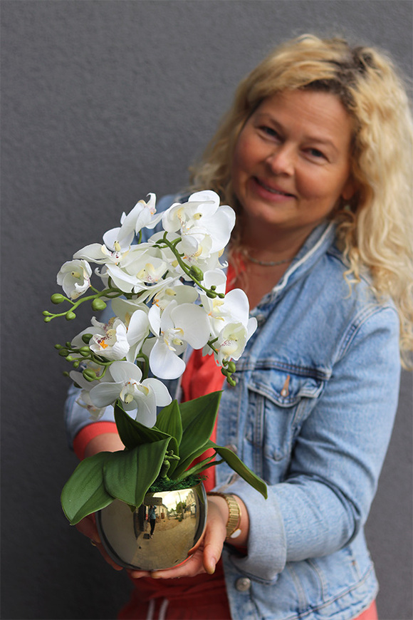 Gold Basics, storczyk w złotym naczyniu