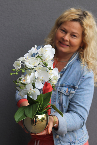 Gold Basics, storczyk w złotym naczyniu