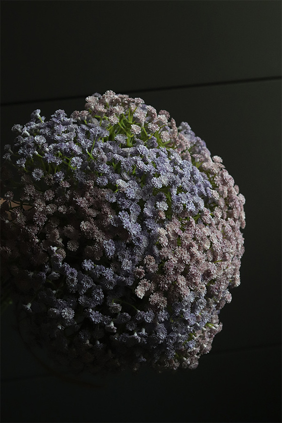 Kaszka Pastella, bukiet kwiatów