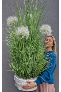 Dandelion Saute, trawa sztuczna w gąbce do twojej donicy, wys.145cm