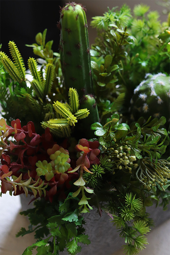 Green Neriata, sukulenty w prostokątnej donicy