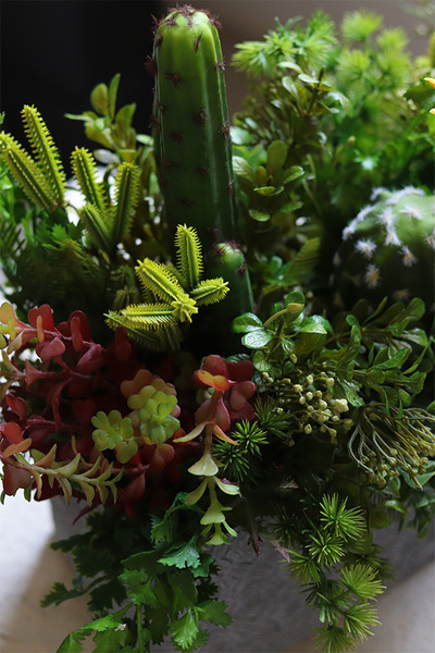 Green Neriata, sukulenty w prostokątnej donicy