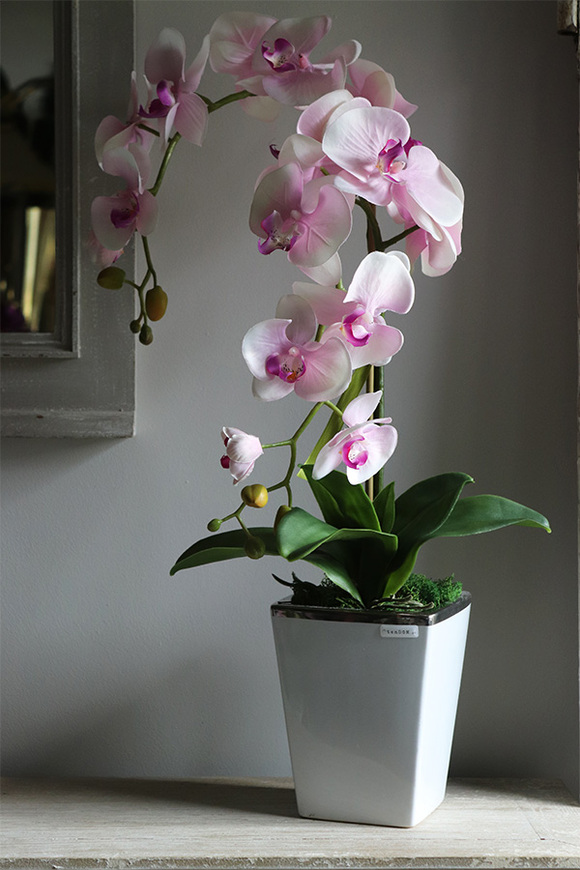 Nemisto, różowy storczyk w biało-srebrnej donicy, wys.65cm 