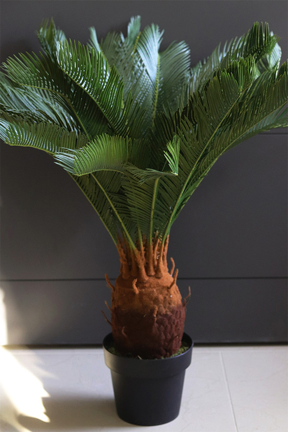 Cykas, sztuczna roślina w osłonce z tworzywa sztucznego