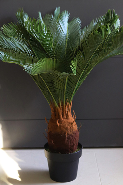 Cykas, sztuczna roślina w osłonce z tworzywa sztucznego