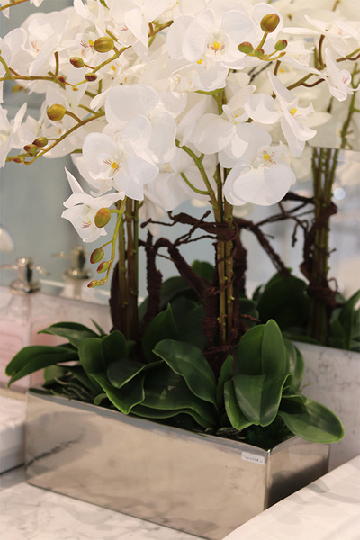 Infinity Eveline, storczyk w lustrzanej donicy