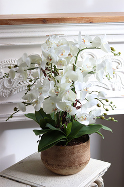 Indie Big, wysokiej jakości sztuczny storczyk, wys.59cm