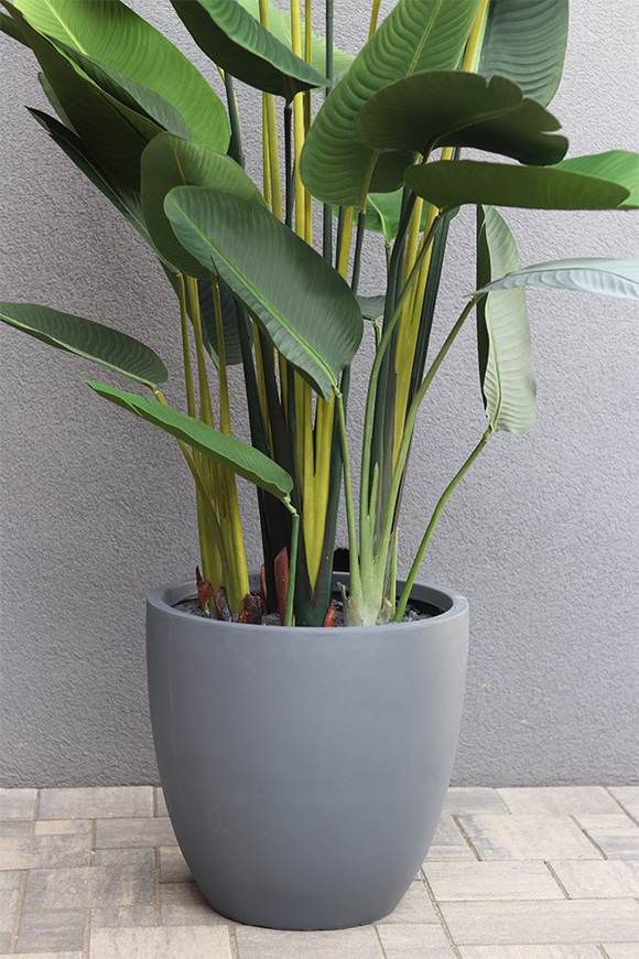 Bananowiec Concrete Greene, sztuczna roślina w donicy