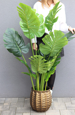 Monstera Bellis, sztuczne drzewo w doniczce, wys.150cm
