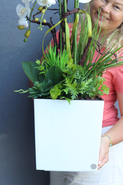 Mediolan Suculenti, storczyk w donicy z sukulentami