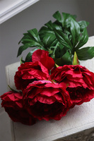 Love Me, bukiet peonii do wazonu, czerwone