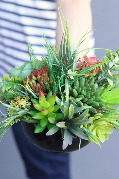 Zielony Dom, kompozycja sukulenty w okrągłej donicy