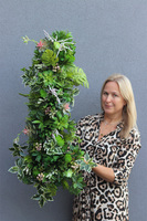 Albertina Sukulenty Saute, zielona dekoracja do twojej donicy