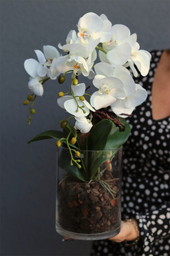 Glassier Como, sztuczny storczyk w szklanej tubie, wys.48cm 