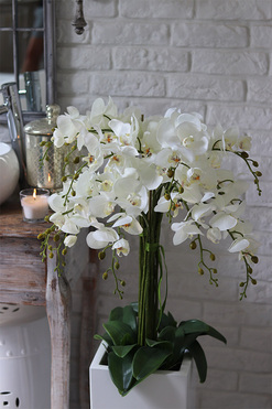 Grande Fiberglass Novelty 2, storczyk w białej donicy z fiberglass (połysk), wys.110cm 