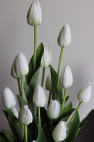 Sheperd Volcan, kompozycja nagrobna w misie