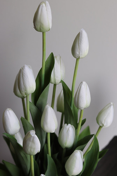 Sheperd Volcan, kompozycja nagrobna w misie